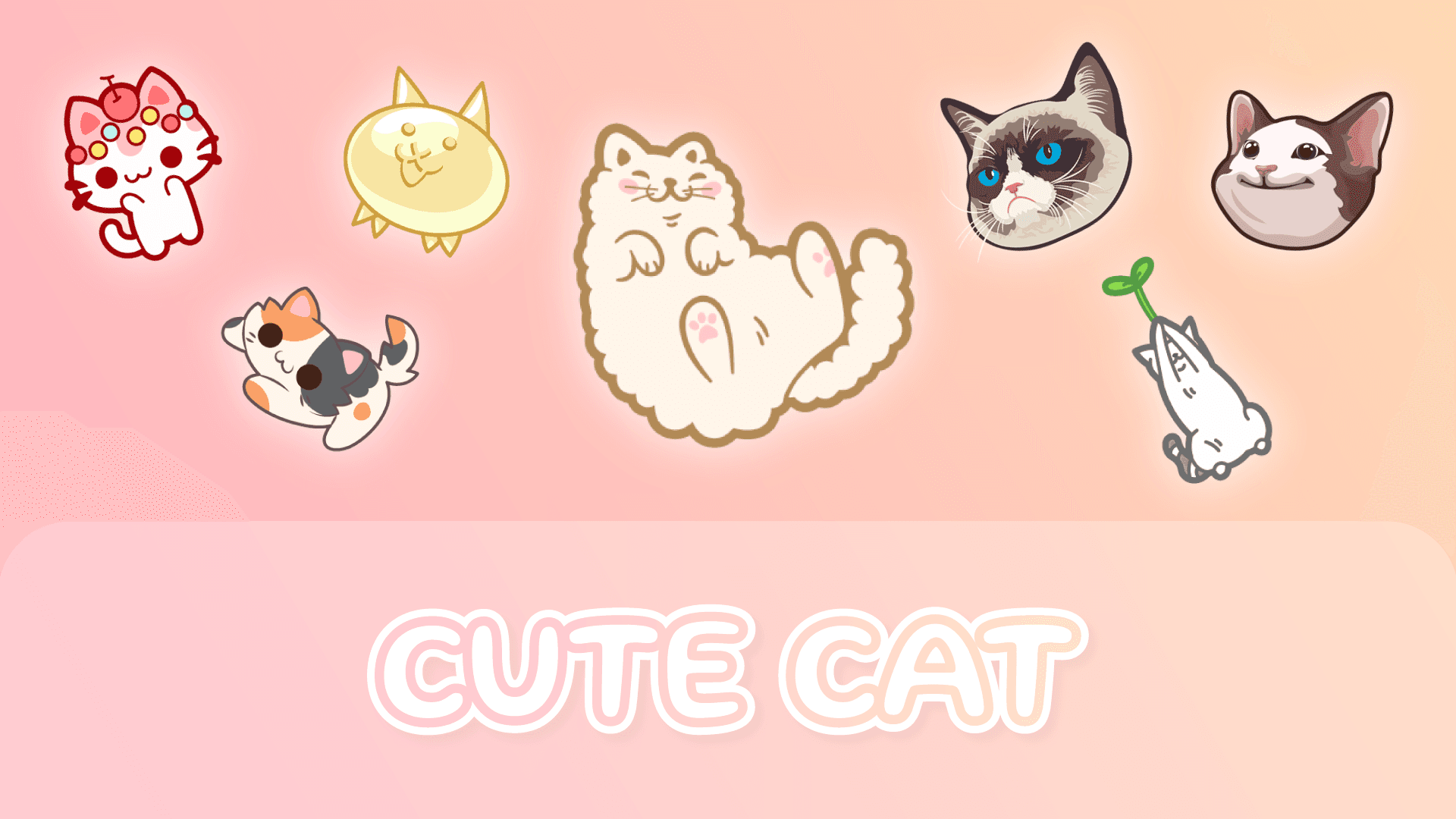 Cute Cat